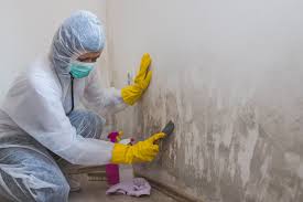 Mold Remediation for Rental Properties in Chickasha, OK